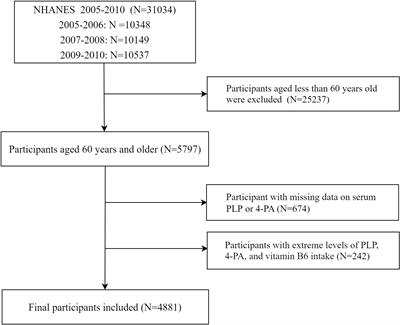 Associations of serum vitamin B6 status with the risks of cardiovascular, cancer, and all-cause mortality in the elderly